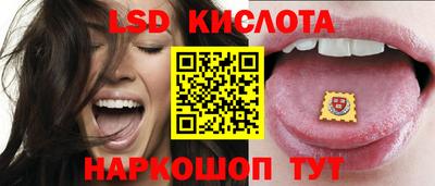 a pvp Славгород