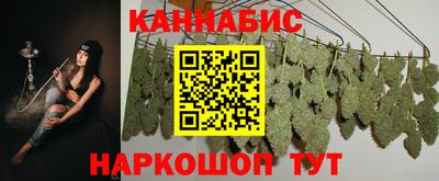 a pvp Славгород
