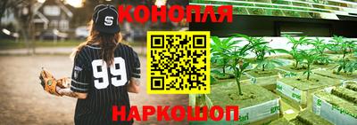прущая мука Сланцы